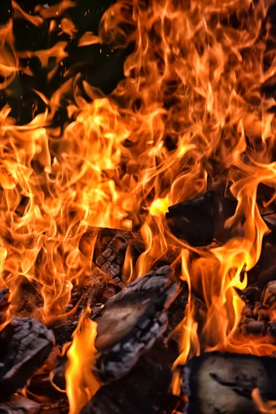 Geceleyin Ormanda Kıvılcımlar Saçan Şenlik Ateşi — Stok fotoğraf