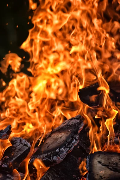 Bonfire Sparks Forest Night — Stock Photo, Image