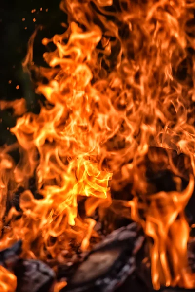 Feu Joie Avec Des Étincelles Dans Forêt Nuit — Photo