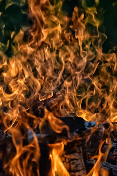 Falò Con Scintille Nella Foresta Notte — Foto Stock