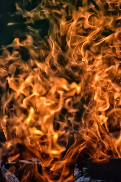Geceleyin Ormanda Kıvılcımlar Saçan Şenlik Ateşi — Stok fotoğraf