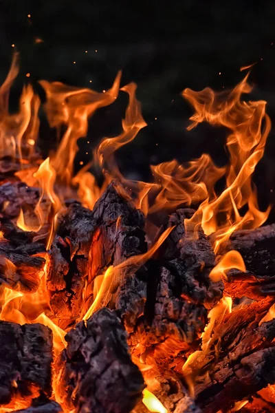 Feu Joie Avec Des Étincelles Dans Forêt Nuit — Photo