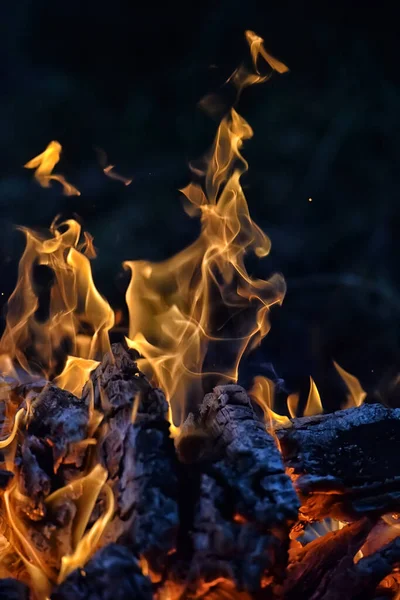 Ognisko Iskrami Lesie Nocy — Zdjęcie stockowe