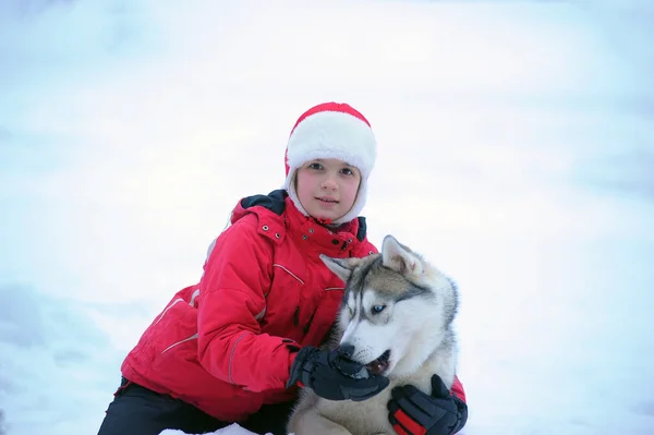 Menina Criança Inverno Brinca Com Cão Husky Parque — Fotografia de Stock