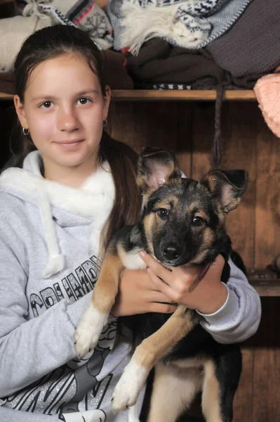 Genç Kız Köpeğine Sarılıyor — Stok fotoğraf