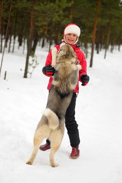 Menina Criança Inverno Brinca Com Cão Husky Parque — Fotografia de Stock