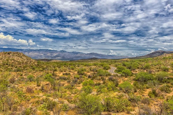 Saguaro Cactus Parque Nacional Saguaro Perto Tucson Arizona — Fotografia de Stock