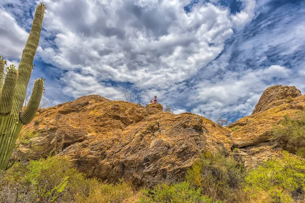 Έρημο Τοπίο Στην Saguaro Εθνικό Πάρκο — Φωτογραφία Αρχείου