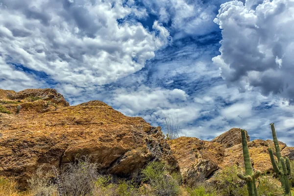 Krajobraz Parku Narodowym Saguaro Niedaleko Tucson Arizona — Zdjęcie stockowe