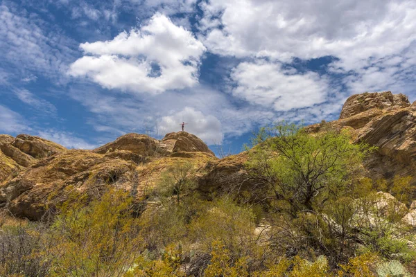Saguaro Nationalpark Westlich Von Tucson Arizona Sonora Wüstenlandschaft Mit Hohen — Stockfoto