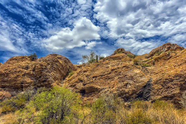 Εθνικό Πάρκο Saguaro Δυτικά Της Tucson Αριζόνα Sonoran Desert Τοπίο — Φωτογραφία Αρχείου