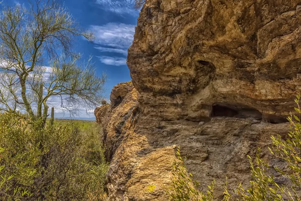 Saguaro National Park Ten Westen Van Tucson Arizona Sonoran Woestijn — Stockfoto