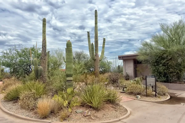 Stany Zjednoczone Arizona 2016 Park Narodowy Saguaro Centrum Turystyczne Informacja — Zdjęcie stockowe