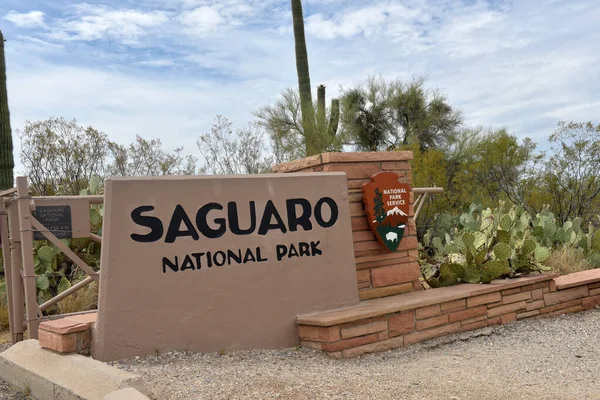 Usa Arizona 2016 Parque Nacional Saguaro Centro Turístico Información Turística — Foto de Stock