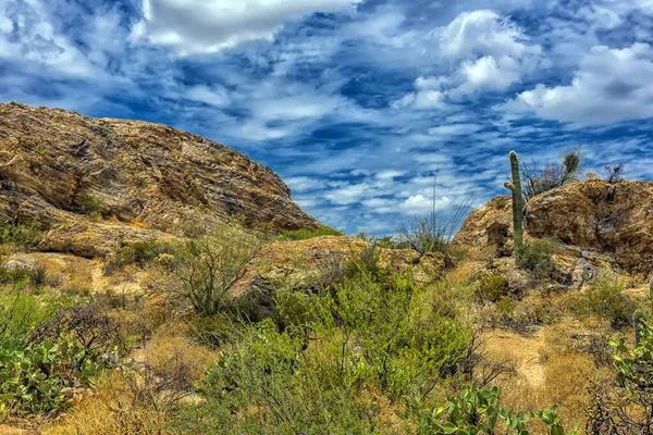 Parc National Saguaro Paysage Avec Ciel Nuageux Magnifique — Photo