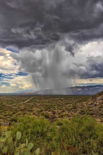 Γκρι Σύννεφο Thunderhead Παράγει Βροχή Ντους Πάνω Από Ημι Έρημο — Φωτογραφία Αρχείου