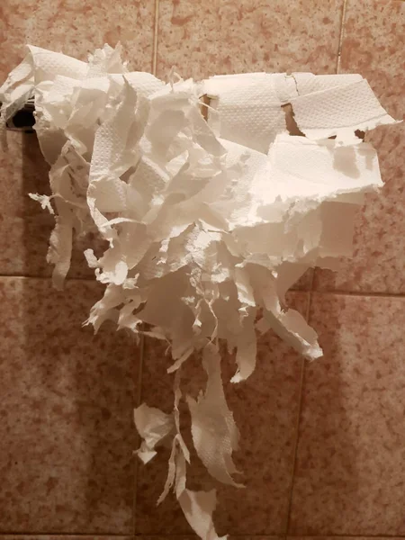 scratched paper in a roll hanging on a holder in the restroom