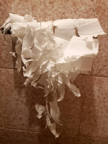 在厕所里挂在支架上的纸卷上刮伤了纸 — 图库照片
