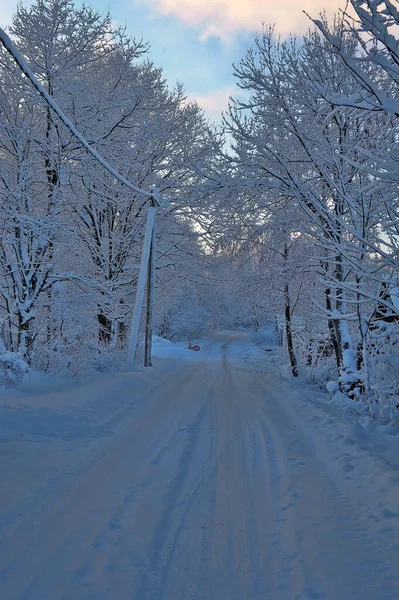 Śnieżna Zimowa Droga Wsi — Zdjęcie stockowe