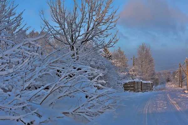 Snöig Vinterväg Byn — Stockfoto