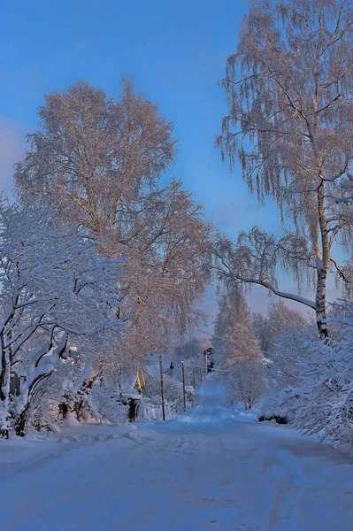 Snowy Winter Road Village — Stock Photo, Image