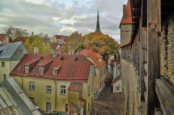 Estonia Tallinn 2016 View Tallinn Red Tile Roofs — Stock Photo, Image
