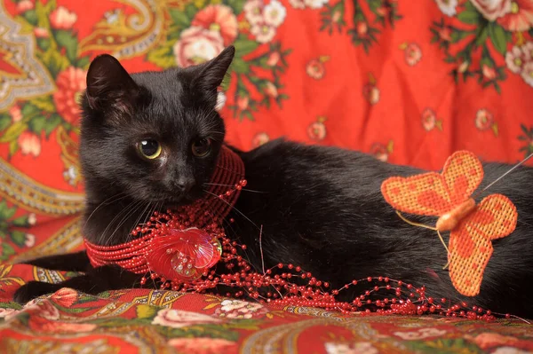 Μια Χαριτωμένη Μαύρη Γάτα Βρίσκεται Ένα Μαντήλι Στο Ρωσικό Στυλ — Φωτογραφία Αρχείου
