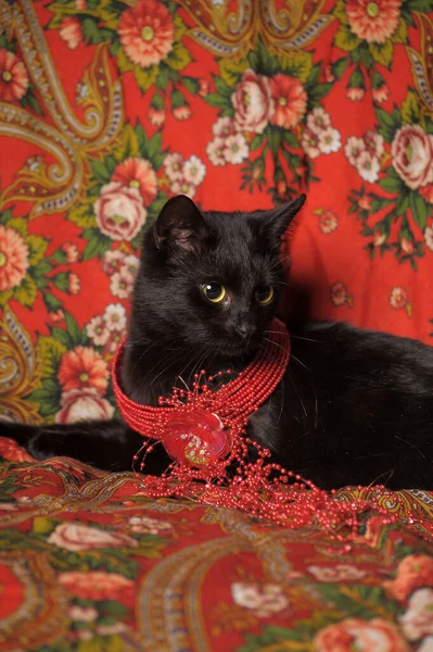 Eine Anmutige Schwarze Katze Liegt Auf Einem Schal Russischen Stil — Stockfoto