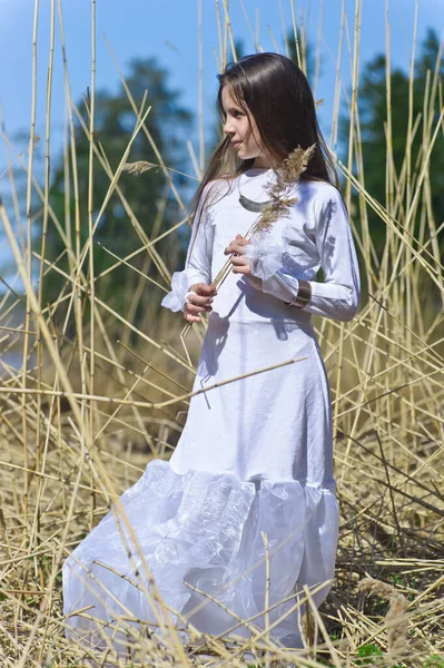 Ragazza Abito Bianco Tra Erba Alta Secca Primavera — Foto Stock