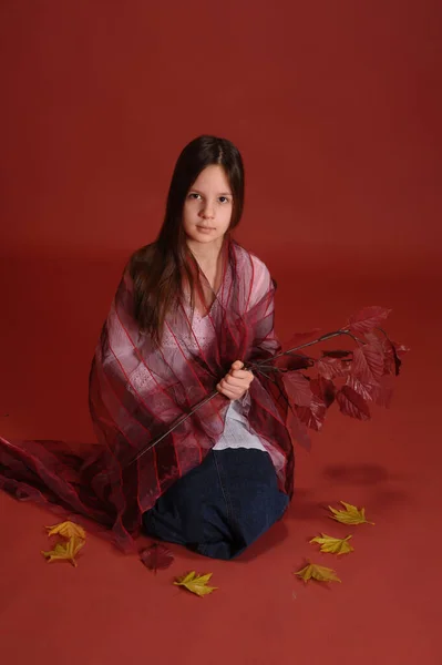 Menina Morena Estúdio Fundo Vermelho Com Folhas Outono Mãos — Fotografia de Stock