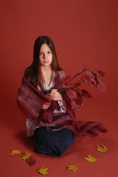 Brunette Meisje Studio Een Rode Achtergrond Met Herfst Bladeren Handen — Stockfoto