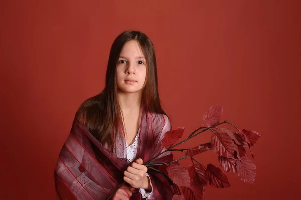 Menina Morena Estúdio Fundo Vermelho Com Folhas Outono Mãos — Fotografia de Stock