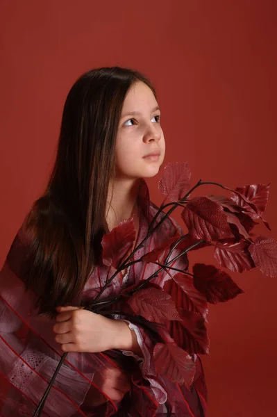 Brunette Meisje Studio Een Rode Achtergrond Met Herfst Bladeren Handen — Stockfoto