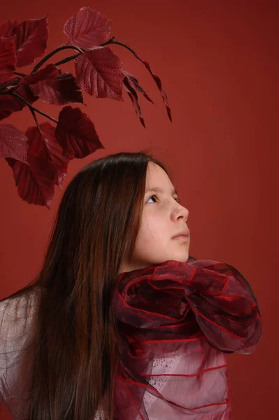Brünettes Mädchen Studio Auf Rotem Hintergrund Mit Herbstblättern Den Händen — Stockfoto