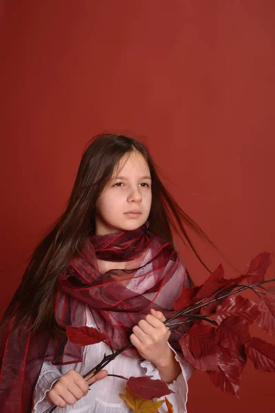 Menina Morena Estúdio Fundo Vermelho Com Folhas Outono Mãos — Fotografia de Stock