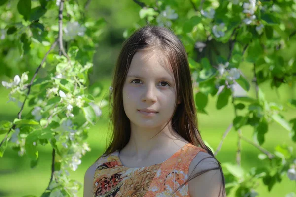 Mladá Brunetka Dívka Kvetoucí Jarní Zahradě — Stock fotografie