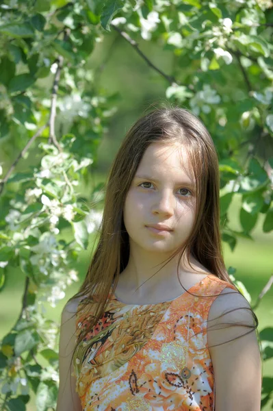 Ung Brunett Flicka Blommande Våren Trädgård — Stockfoto