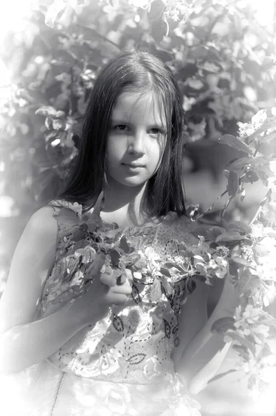 Jong Brunette Meisje Een Bloeiende Lente Tuin — Stockfoto