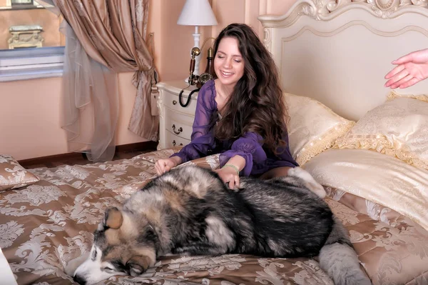 Jong Meisje Een Lila Jurk Met Haar Malamute Bed — Stockfoto