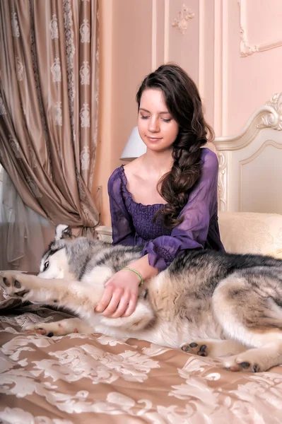 Young Girl Lilac Dress Her Malamute Bed — Stock Photo, Image