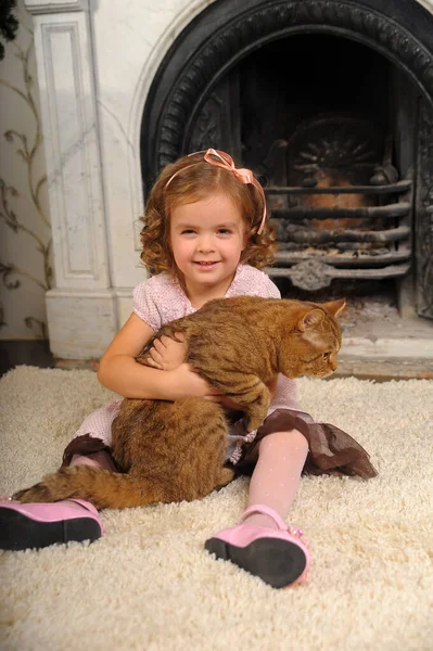 Niña Feliz Con Gato Sus Brazos — Foto de Stock