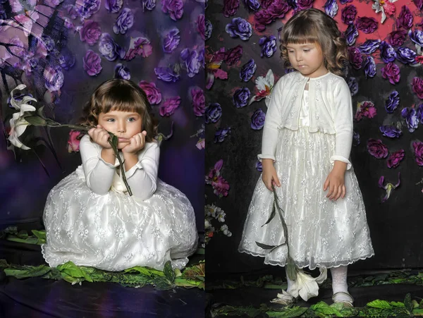 小さなブルネット女の子とともにカールとともに白いセーターとともに花で彼女の手の上に花の背景にザ スタジオ — ストック写真