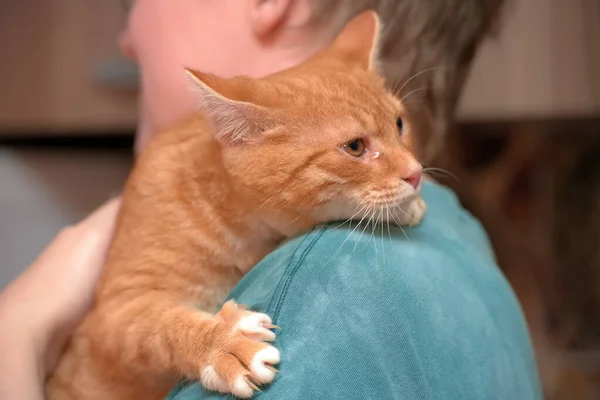 Trauriger Rotschopf Mit Weißer Katze Den Händen — Stockfoto