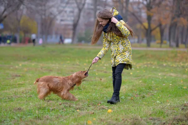 Girl Jacket Walks Plays Dog Spaniel Park — Stock Photo, Image