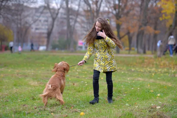 Девушка Куртке Гуляет Играет Собачьим Спаниелем Парке — стоковое фото
