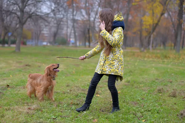 Ein Mädchen Jacke Geht Park Spazieren Und Spielt Mit Einem — Stockfoto