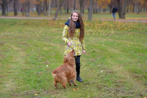 Ceketli Bir Kız Parkta Köpek Bir Spanyel Ile Yürüyor Oynuyor — Stok fotoğraf