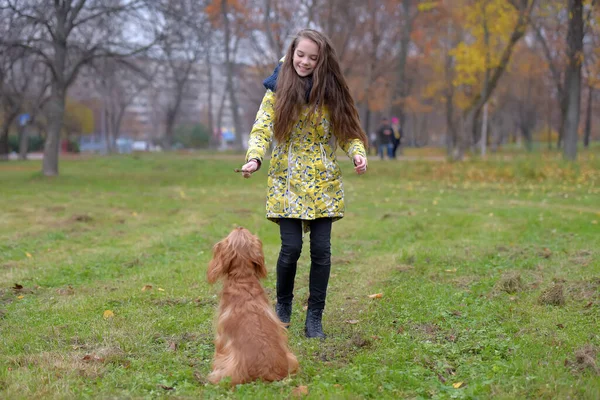 Ceketli Bir Kız Parkta Köpek Bir Spanyel Ile Yürüyor Oynuyor — Stok fotoğraf