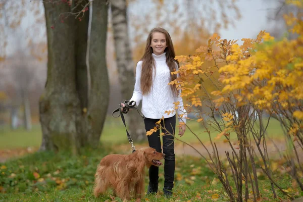 Девушка Белом Свитере Осенью Гуляет Собачьим Спаниелем Парке — стоковое фото