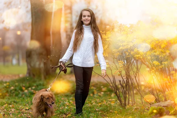 스웨터를 소녀가 가을에 공원에서 스패니얼 산책을 — 스톡 사진